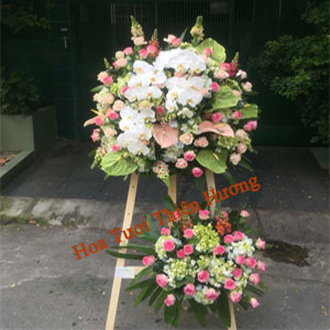 Hoa Chúc Mừng Khai Trương HKT2810