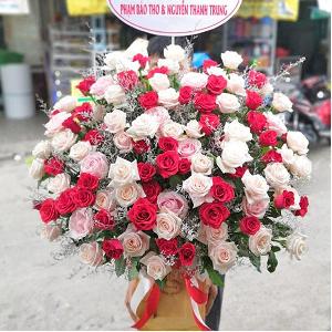 Hoa Tươi Giỏ 162