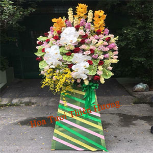 Hoa Chúc Mừng Khai Trương HKT2809